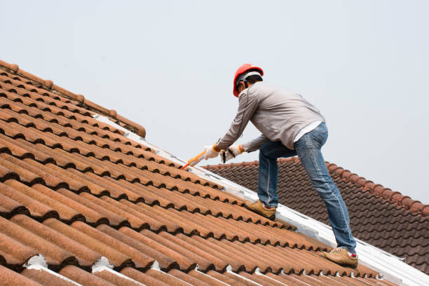 Best Tile Roofing Installation  in Louisvle, IL