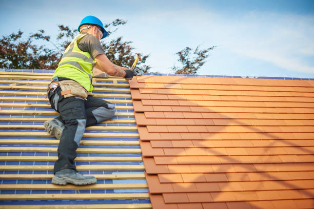 Best Cold Roofs  in Louisvle, IL